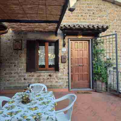 Apartment/ flat - Orvieto Others