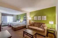 Sleep Inn & Suites Harrisonburg Near University - parking