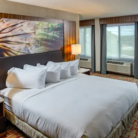 DoubleTree by Hilton Appleton