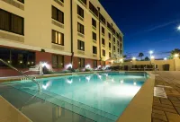 DoubleTree by Hilton St. Augustine Historic District - Swimmingpools