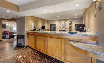 Comfort Inn & Suites Rochelle - DeKalb