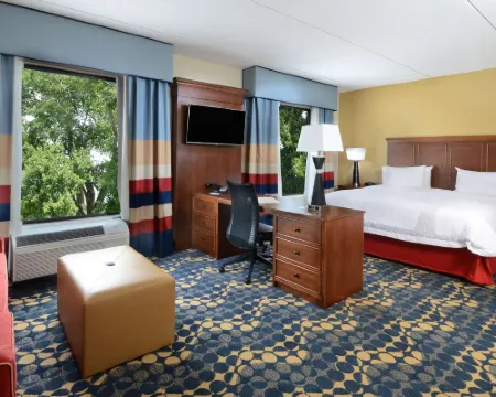 ハンプトン  イン & スイーツ リンチバーグ リンチバーグのホテル