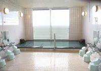 Kurashiki Seaside Hotel - Varme kilder