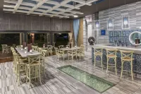 Hilton Dalaman Sarigerme Resort & Golf - bar