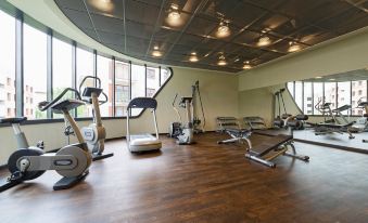 a well - equipped gym with various exercise equipment , including treadmills , weight machines , and benches , under a large skylight at Park Inn by Radisson Krakow