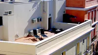 Living-Sevilla Apartments San Lorenzo Hotels in Santiponce
