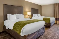 Comfort Inn Wings Stadium فنادق في Portage