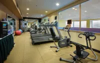 Embassy Suites by Hilton Chicago O'Hare Rosemont - Fitnessstudio