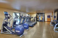 鹽湖城機場希爾頓逸林酒店 - 健身室/gym room