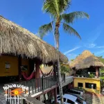 Papaya Lodge Hotels in 