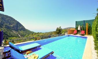 Private Villa Oliver with View Ideal Spot for a Honeymoon or Romantic Trip