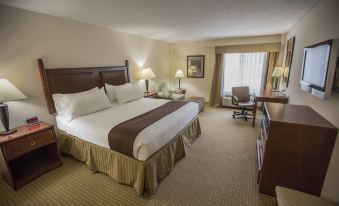 Holiday Inn Express & Suites Asheville Downtown
