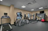 Hampton Inn & Suites Tampa Northwest/Oldsmar - Gym