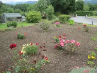 White Heather Farmhouse Hotels near Teach Milseáin - House of Sweets