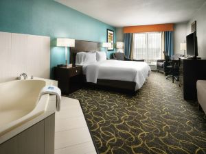 Holiday Inn Express & Suites DFW -葡萄