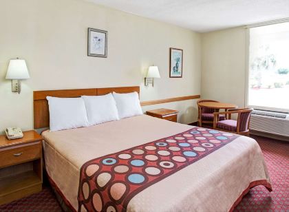 Super 8 by Wyndham Walterboro