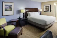 Hilton Garden Inn Raleigh-Durham Airport - Pet friendly