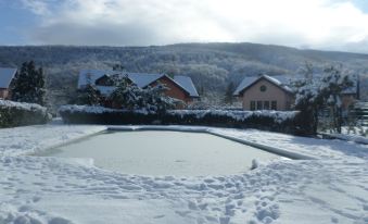 Sapanca Villa Kirkpinar