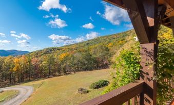 a wooden deck overlooking a lush green field with trees in the background , under a clear blue sky at North Fork Mountain Inn