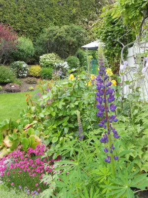 A View to Remember Bed & Breakfast Hotels in Central Okanagan G