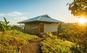 a small wooden house with a metal roof is nestled on a hillside , surrounded by lush greenery at Drake Bay Getaway Resort