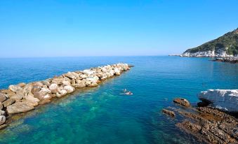 a group of people swimming in the ocean near a rocky shoreline , with clear blue water and a clear sky above at Olga