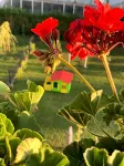 Hotel Bannewitz B&B