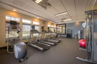 Hampton Inn & Suites Binghamton/Vestal - Gym