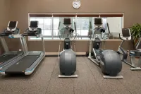 Embassy Suites by Hilton Chicago Naperville - Gym