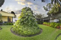 Best Western Las Mercedes Airport Hotels in 