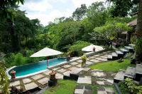 อูบุด เดดารีวิลล่า - สระว่ายน้ำแบบอินฟินิตี้