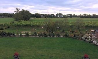 B&B op Wijngoed Havelte