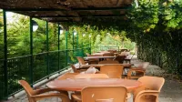 Ceylan Termal Saglikli Yasam Koyu Hotels in Yaylabagi Belediyesi