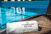 Spa & Wellness Hotel Diament Ustroń - Pools
