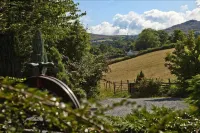 Coed Mawr Hall Bed & Breakfast Các khách sạn ở 