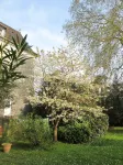 Villa Dampierre فنادق في باو
