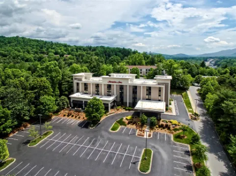 Hampton Inn Asheville-I-240 Tunnel Rd. Отели рядом с достопримечательностью «Оверлук Виллидж»