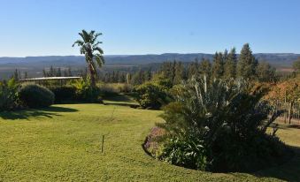 Addo Dung Beetle Guest Farm