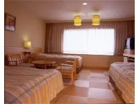 Garden Hotel Olive Hotels near MITSUI OUTLET PARK (JAZZ DREAM NAGASHIMA)