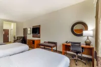 Comfort Inn & Suites Near Bethel College