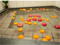 城崎温泉　かに庵 豊岡のホテル