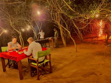 Yala Hotel Lion -Air Conditioned High Luxury Safari Camp