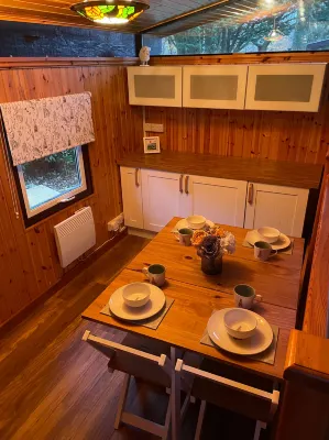 11 Tan-y-Coed Woodland Lodge - Pools