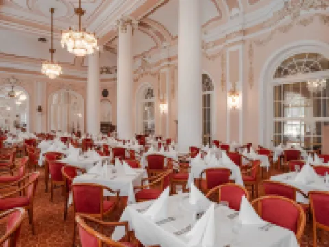 Hotel Radium Palace Hotels in Karlovy Vary District