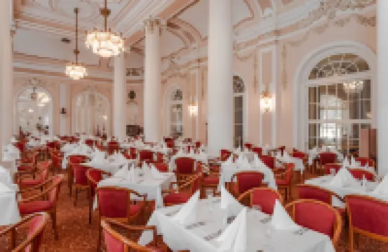 Hotel Radium Palace Hotels in Karlovy Vary District