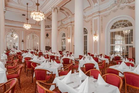 Hotel Radium Palace Отели в г. Karlovy Vary District