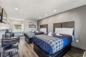 نايتس إن أنتيوك