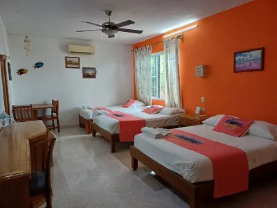 Hotel Punta Ponto فنادق في Rio Lagartos