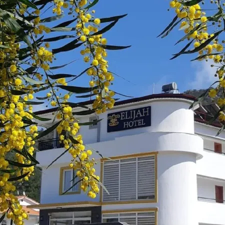 Elijah Hotel