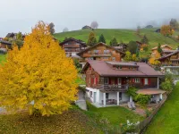 Serviced Apartment Chalet Bärgblüml I Ha